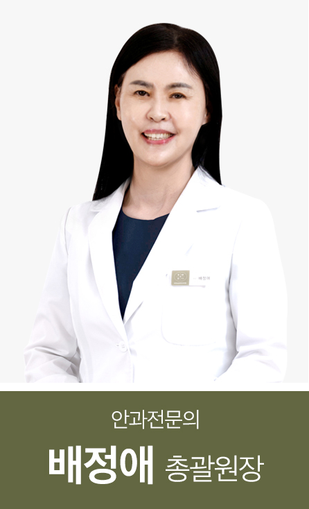 배정애
